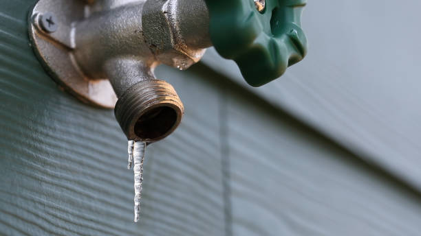 Best Sewer Line Repair  in Long Creek, IL