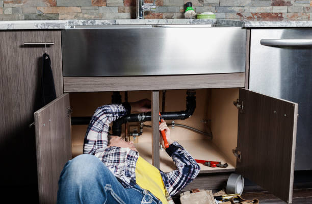 Best Plumbing Inspection Services  in Long Creek, IL
